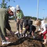 2011plantatreeintheparkweb